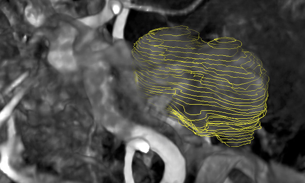 Scientific image